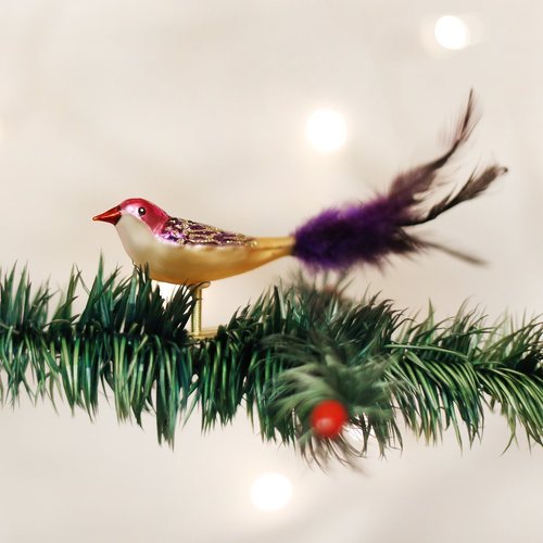 Old World Christmas Ornaments: Bird Watcher Collection Glass Blown Ornaments for Christmas Tree, Lovebird