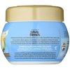 Garnier Whole Blends Hydrating Mask, Coconut Water & Vanilla Milk Extracts, 10.1 Fl Oz (Pack of 1)