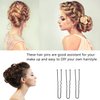 U Shaped Hair Pins, 200 Count - Bun Hair Pins Curly Wavy Grips Bobby Pins Hair Clips Hairpins Hair Styling Tool