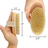 Spiffy Skin Wet and Dry Body Brush Exfoliator - Medium Soft Natural Bristle - Exfoliates Dead Skin - Slows Aging - Reduces Cellulite - Stimulates Lymph and Blood Flow and increases Energy