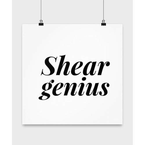 Barber Poster Shear Genius Barber Poster, Wall Art For Barber, Barber Print, Barber Birthday Poster, 16x16 Poster
