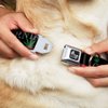 Dog Collar Seatbelt Buckle California Pot Leaf Black Red Green White 18 to 32 Inches 1.5 Inch Wide