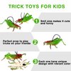Mukum 16Pcs Plastic Grasshoppers Toys for Kids Plastic Insect Figures Toys Fake Bugs Easter Party Favors Green Grasshoppers Toys Tropical Character Toys for Insect Themed Party Children Boy Girl