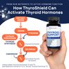 ThyroShield Thyroid Support, Pure Complex with Iodine, Ashwagandha, L-Tyrosine, Selenium, Thyroid Supplement for Women & Men, Energy, Hormone & Metabolism Support, cGMP, CoA Verified - 60 Capsules
