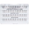 Andrea Permalash Individual Lashes - Flair Short Brown, 56-Count (Pack of 4)