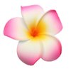 10 Pcs 7cm Multicolor Hawaiian Hair Clip Beach Foam Flower Headpieces for Wedding Party Accessories