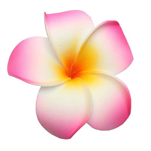 10 Pcs 7cm Multicolor Hawaiian Hair Clip Beach Foam Flower Headpieces for Wedding Party Accessories