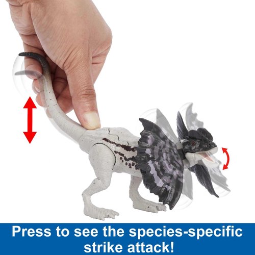 Mattel Jurassic World Strike Attack Dinosaur Toy, Dilophosaurus Action Figure with Movable Joints & Strike Motion