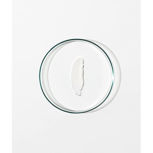 Grown Alchemist Skin Renewal Day Cream - Anti Aging Face Moisturizer for Women & Men - Face Moisturizer with Reishi Extract, Moringa Peptides and Antioxidants, (65ml)