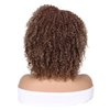 Fancy Hair Short Kinky Curly Wigs Brown Side Part Afro Wigs for Black Women Synthetic Yanky Twist Out Wig Natural Hairstyle for Daily Use (T30/27#)