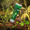 Bentodent Natural Toothpaste with Pure & Organic Ingredients for Entire Family Including Kids (Betel Leaf Combo)