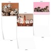 The Best Card Company - 20 Adorable Cat Greeting Cards (4 x 5.12 Inch) - Blank Assortment (10 Designs, 2 Each) - Litters Letters AM7058OCB-B2x10