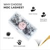 MDC LASHES Promades Eyelash Fan 500fans | 5D-16D, 0.05-0.07 Thickness, C/CC/D Curls, 8-18mm | Volume Lash Extensions Premade Lash Fans Pro Made False Eyelashes Pestanas Pelo A Pelo (10D-0.05-D-12)