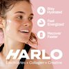 Harlo - Grapefruit Salt Electrolyte Drink Mix w/Bovine Collagen & Creatine - Creatine Monohydrate Powder - Energy Drink Powder - Pre Workout Powder - Sugar Free Energy Drinks - Post Workout Recovery