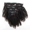 Kinky Curly Clip in Hair Extensions Natural Brazilian Curly African American Clip in Human Hair Extensions