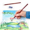 STAEDTLER Colored Pencils, Premium Quality Extruded Coloring Pencils with Break-Resistant Lead, Box of 24