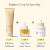 Beekman 1802 Milk Tint Face Primer with SPF 43, Light - Oxybenzone Free - 1 oz - Tinted Mineral SPF, Makeup Primer & Moisturizer - In Shade Light