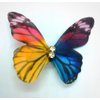 Generic Butterfly hair clips, 6 Count (Pack of 1), Pink,Blue,Green,Yellow,etc.