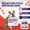 Petpost | Bulldog Wrinkle Wipes for Dogs - Cleans and Soothes Pug Wrinkles and Folds - Ultra Soft Cotton Pads in Coconut Oil Solution 100 ct.