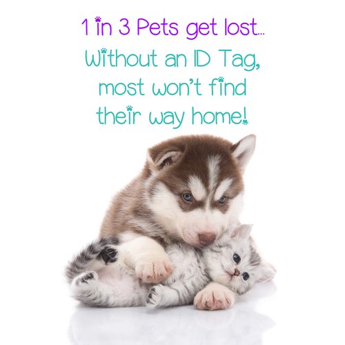 uDesignUSA Animal Print Dog Tag Pet Id Tag Personalized w/Name & Number Leopard Print Dog Bone (Rainbow Purple)