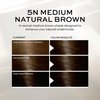 John Frieda Brown Permanent Precision Hair color, Foam Hair Kit, Brown Hair Dye, 5N Medium Natural Brown Hair Color, 1 Application