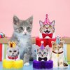 9 Pcs Cat Themed Honeycomb Centerpieces Cats Party Decorations Cat Happy Birthday Party Supplies Cat Party Cake for Kids Baby Shower Birthday Supplies