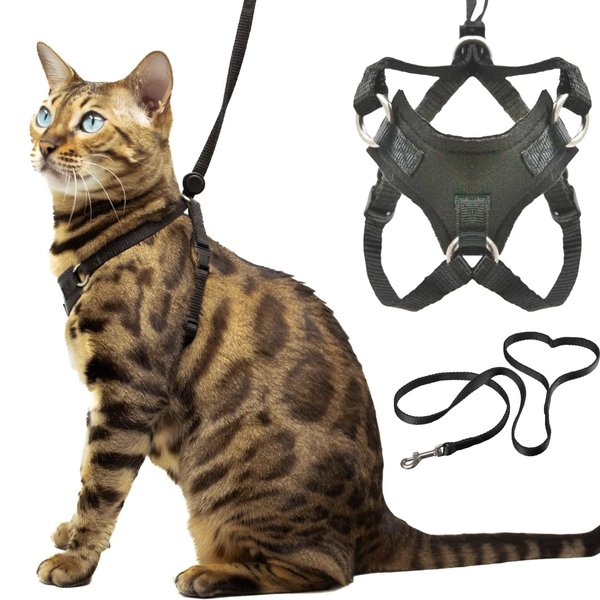 Houdini™ Escape Resistant Cat Harness and Leash Set by OutdoorBengal for Walking Cats (M)