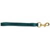 J&J Dog Supplies Biothane Dog Leash, 3/4" Wide by 6' Long, Hunter Green