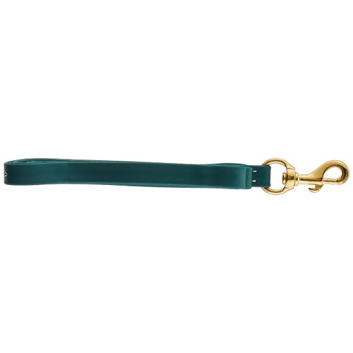 J&J Dog Supplies Biothane Dog Leash, 3/4" Wide by 6' Long, Hunter Green