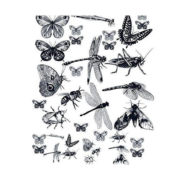 Winged Insects - 23246 - Ceramic Decal - Enamel Decal - Glass Decal - Waterslide Decal - 3 Different Size Sheet (Images) to Choose from. Choose Either Ceramic (Enamel) or Glass Fusing Decals