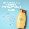 Aveeno Deep Moisturizing Sunflower Oil Blend Shampoo with Oat for Dry Damaged Hair, Dye, Paraben & Sulfate Surfactants Free, 12 Fl Oz