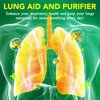 2 Pack Mullein Gummies for Lung Detox, Mullein Herbal Supplement, 2000mg Mullein Leaf Extract for Respiratory & Digestive & Immune Support