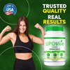 LipoVive Capsules, Official Lipo-Vive Pro Advanced Formula to Support Energy Throughout The Day, Mounja Mounj Natural LipoViv Capsulas lipoviv Detox Cleanse Premium Ingredients (60 Capsules)