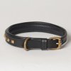 X-Small Leather Studded Padded Phantom Dog Collar; Fits 10" - 12" Neck Size