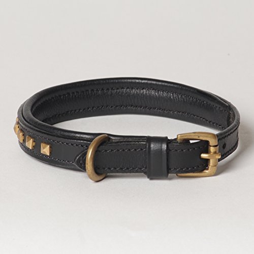 X-Small Leather Studded Padded Phantom Dog Collar; Fits 10" - 12" Neck Size