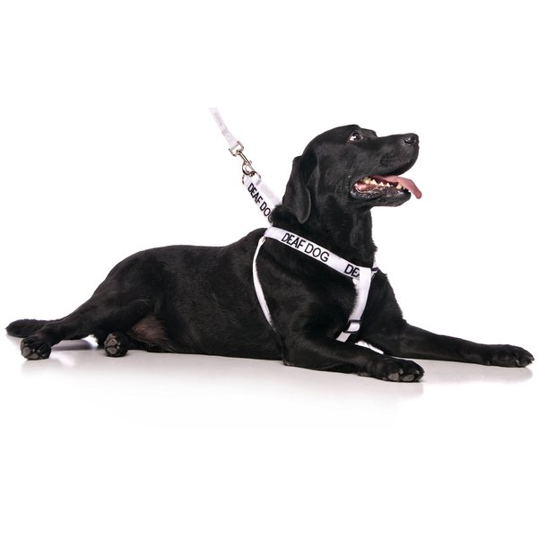 Deaf Dog White Color Coded L-XL Non Pull Dog Harness Prevents Accidents by Warning Others of Your Dog in Advance