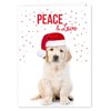 Canopy Street Labrador Love Holiday Card Pack / 25 Cards And Envelopes Pack/Festive Santa Hat Puppy Design With Greeting Inside/Dog Christmas And New Year Cards