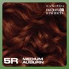 Clairol Natural Instincts Demi-Permanent Hair Dye, 5R Medium Auburn Hair Color, Pack of 1