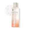 BLITHE Anti Polluaging Cleansing Water with Himalayan Pink Salt - water based cleanser korean,make up removers 8.4 Fl Oz