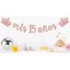 mis 15 años Banner, Mis Quince Años Sign For 15th Birthday Party Decoration For Girls, My 15th Birthday Party Decorations Supplies Rose Gold Glitter