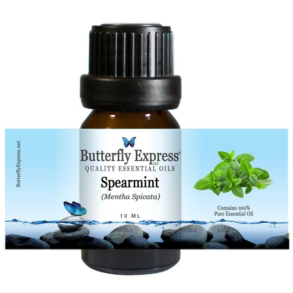 Spearmint Essential Oil 10ml - 100% Pure by Butterfly Express