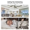 TREATLIFE Smart Ceiling Fan Control, 4 Speed Fan Switch for Ceiling Fan, Neutral Wire Required, Compatible with Alexa and Google Assistant, Wall Control, Schedule, No Hub Required
