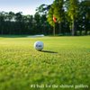 Shanker Golf Balls - Rude Trick Balls with Funny Sayings (6 Ball Gift Pack, Novelty Gag, Playing Quality) - Hero Edition - The #1 Ball for Shite Golfers