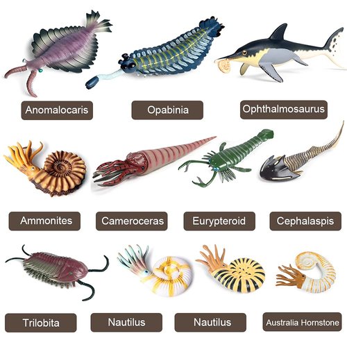 RCOMG 11PCS Prehistoric Sea Creatures Toys, Ancient Cambrian Ocean Animal Figurines Plastic Educational Marine Animal Figures for Cake Topper, School Project, Learning Toy