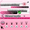 SKY MANGO DIY Lash Extension Kit 280pcs Clusters Eyelash Extension Kit 40D 8-16mm Individual Lashes Kit with Lash Bond and Seal, Lash Tweezers, Lash Brush for Beginners