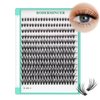Bodermincer Black/Colored Cluster Lashes 240pcs 20D/40D DIY Eyelash Extension D Curl Long Individual Lashes Mixed Tray Faux Mink Lash Clusters Extensions 8-22mm (30D 8-10-12-14-16mm MIX)