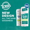 Tom's of Maine, Natural Long Lasting Aluminum Free Deodorant - Refreshing Lemongrass, 2.25 Ounce