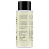 Love Beauty Planet Divine Definition Shampoo, Coconut Milk & White Jasmine 13.5 fl oz