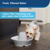PetSafe Drinkwell Replacement Carbon Filters, Dog and Cat Ceramic Water Fountain Filters, 12-Pack