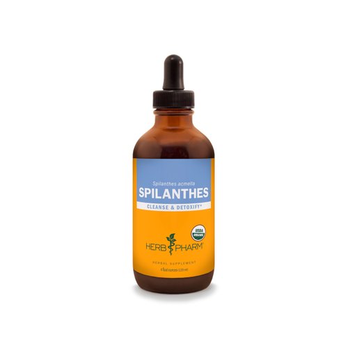 Herb Pharm Certified Organic Spilanthes Liquid Extract for Cleansing and Detoxification - 4 Ounce